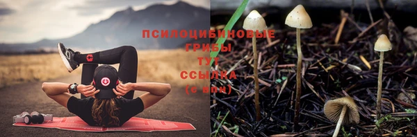 прущий лед Козельск