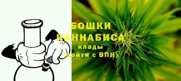 мдпв Кодинск