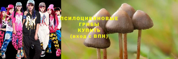 ECSTASY Корсаков