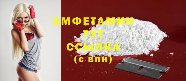 мдпв Кодинск