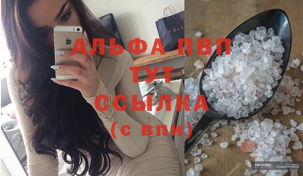 ECSTASY Корсаков