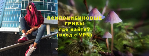 метадон Козловка