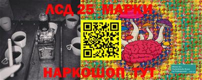 ешки Гай