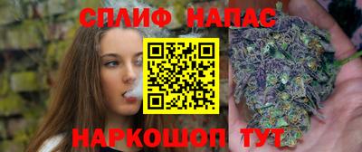 амфетамин Гатчина