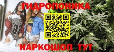 ешки Гай