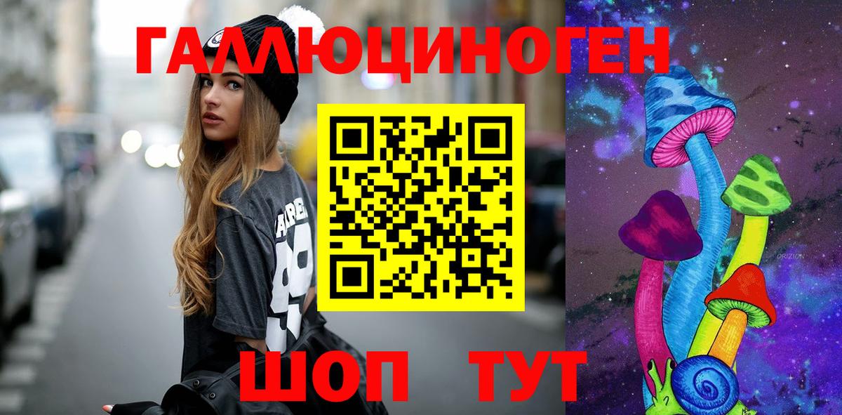 Псилоцибиновые грибы Psilocybe Корсаков