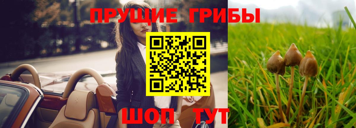 магазин продажи наркотиков  Корсаков  Псилоцибиновые грибы Psilocybine cubensis  Псилоцибиновые грибы Psilocybe 